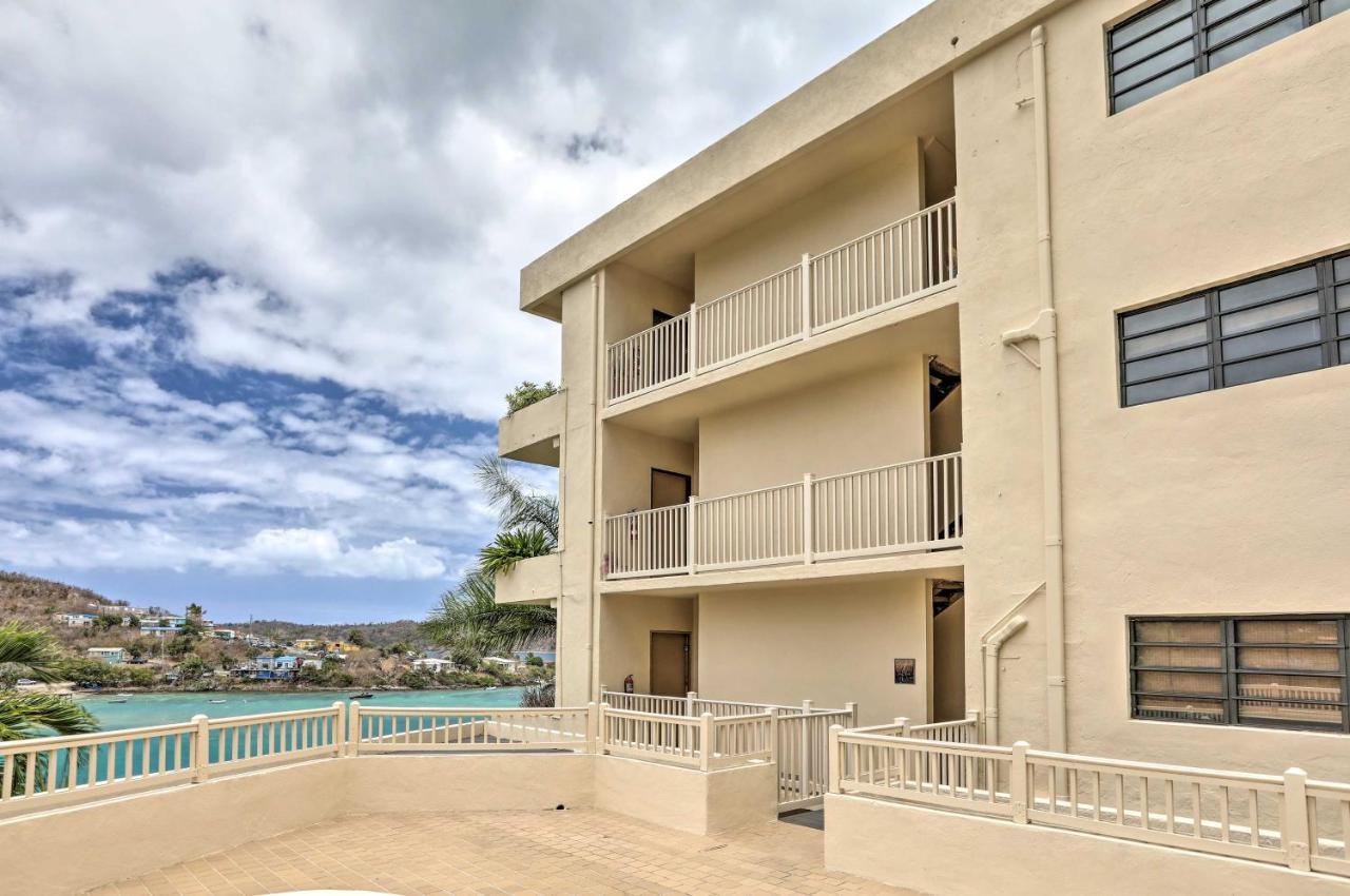 Saint Thomas Condo With Ocean Views, Walk To Beach! Frydendal Esterno foto